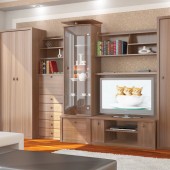 Стильная стенка для гостиной Кай
