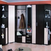 Современная прихожая Ника