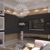 ТВ-зона, вид 2