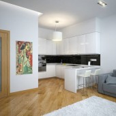 Гостиная-кухня