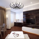 Гостиная и кухня