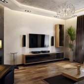 ТВ-зона, вид 2