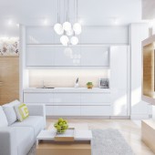 Гостиная и кухня