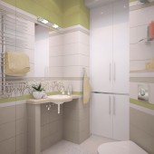 Санузел фото - дизайн интерьера