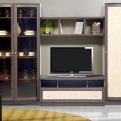 Стенки для гостиной фото - Гостиная Модена 