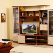 Стенки для гостиной фото - Набор мебели Вега 