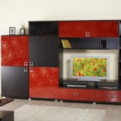 Стенки для гостиной фото - Стенка Гармония 