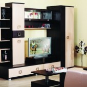 Стенки для гостиной фото - Стенка Альянс 