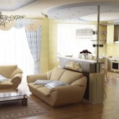 Проект интерьера квартиры свободной планировки