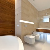 Совмещенный санузел