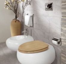 Безбачковая система унитаза